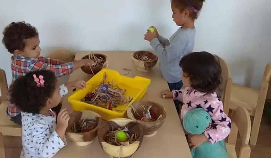 Sila Nursery