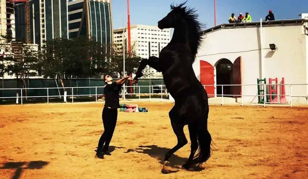 ركوب الخيل