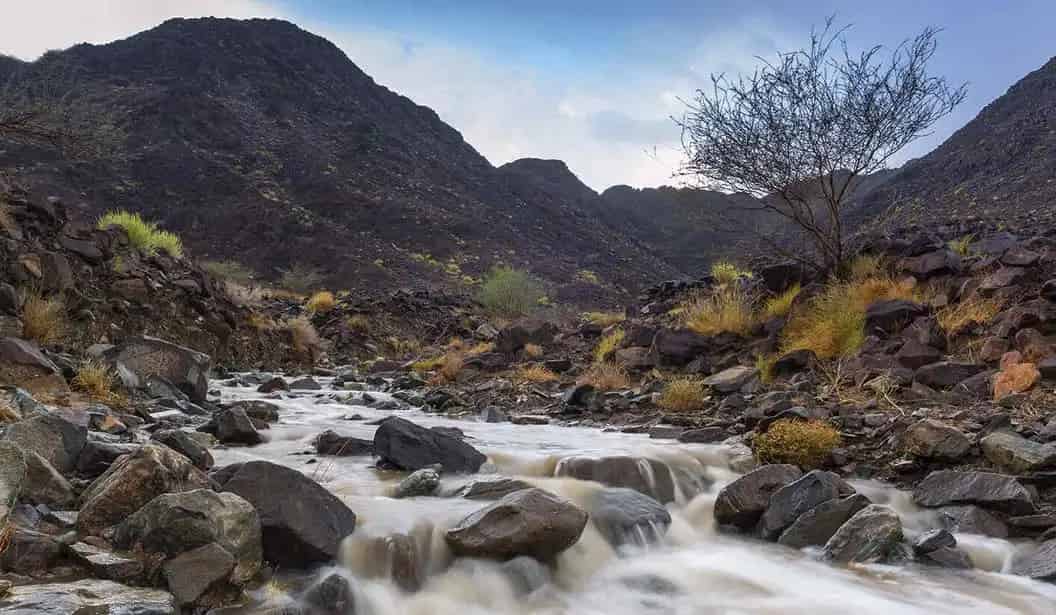 Wadi Shawka