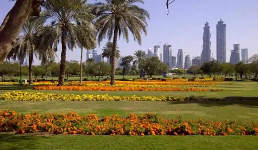 حديقة الصفا