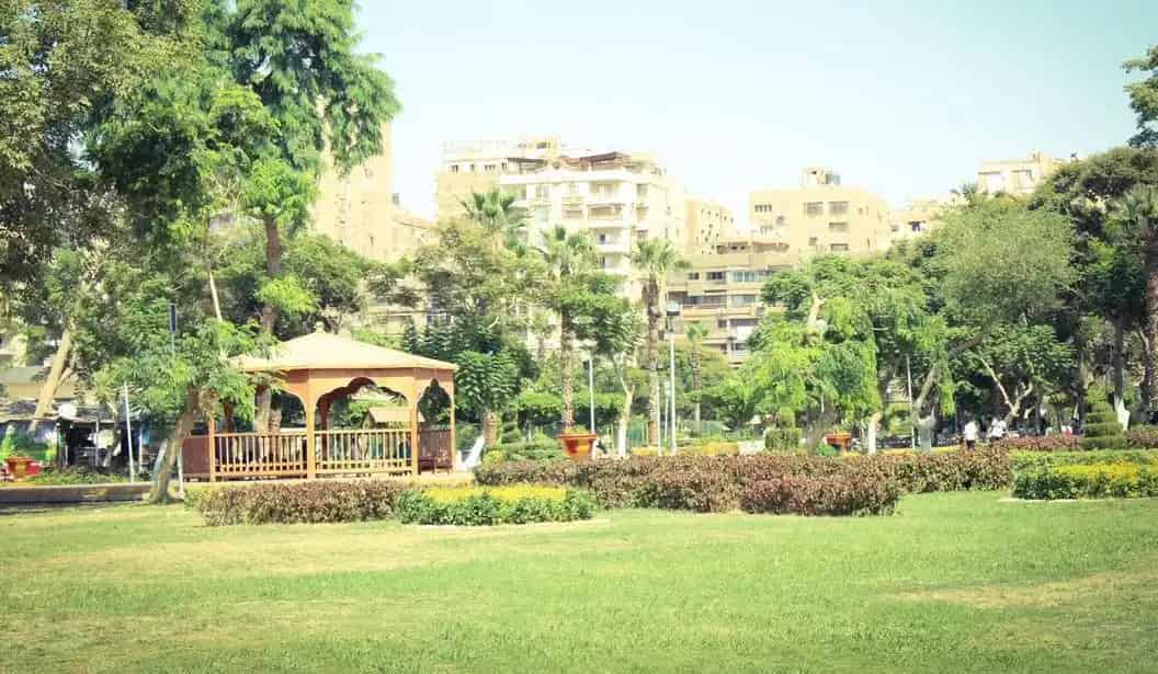 Child's Park | حديقة الطفل