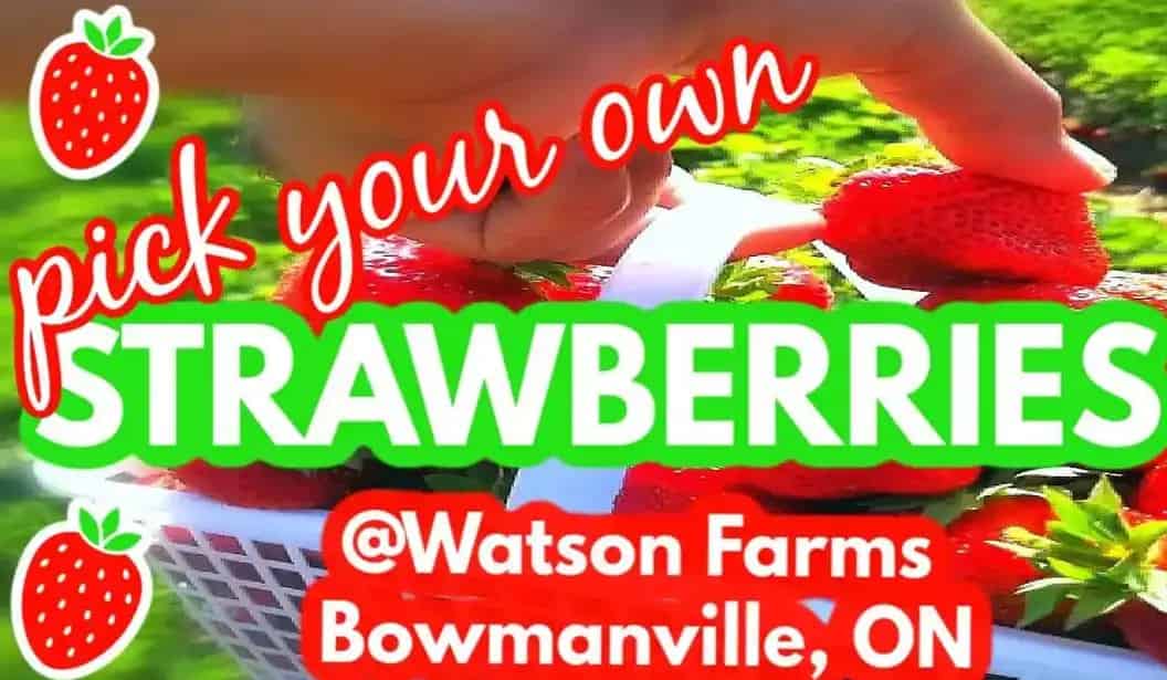 Watson Farms