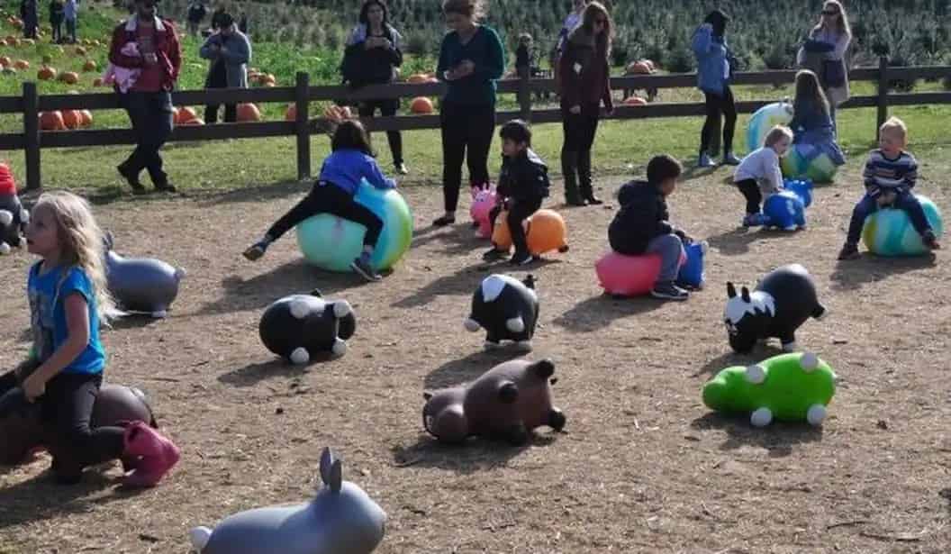 Merry Farms