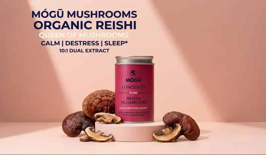 MÓGŪ Mushrooms