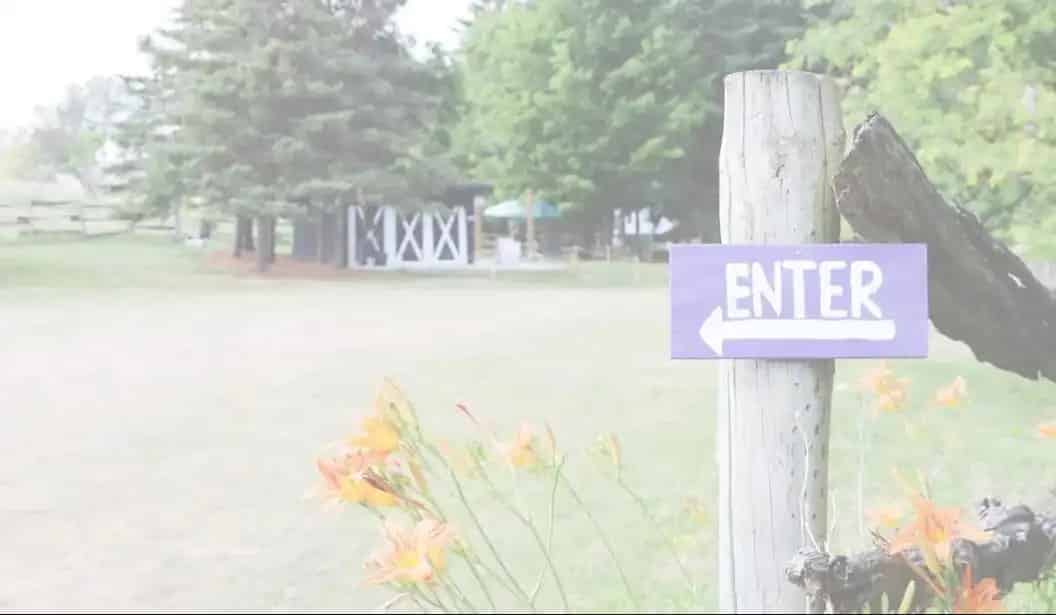 Kelso Lavender Farm