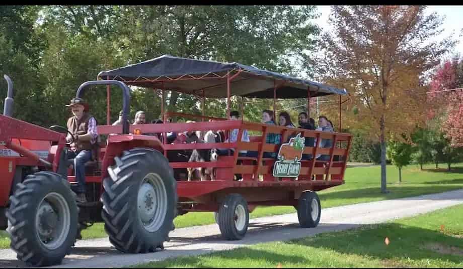 Merry Farms