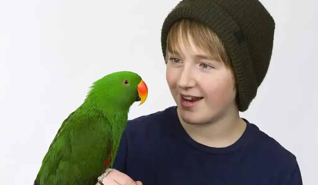Parrot Partners Canada - Birthday Parties and Camps