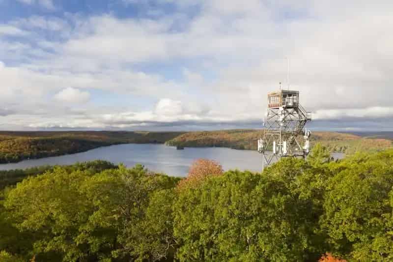 Dorset Lookout Tower