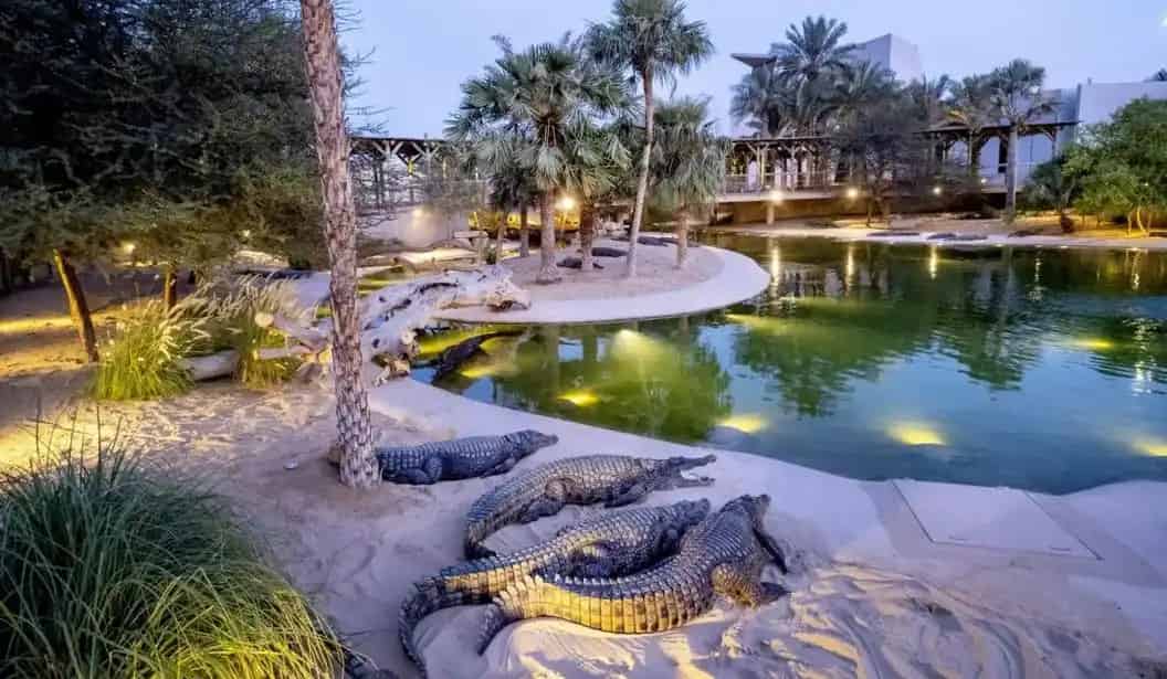 Dubai Crocodile Park