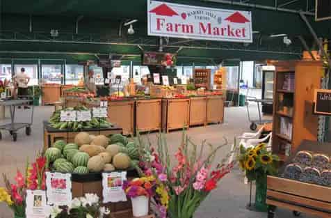 Barrie Hill Farms