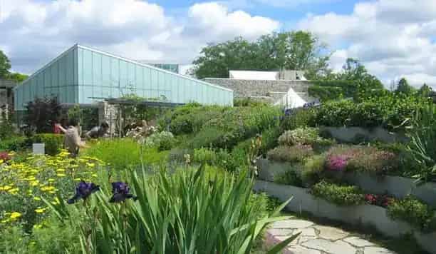Toronto Botanical Garden Tour