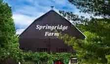 Springridge Farm