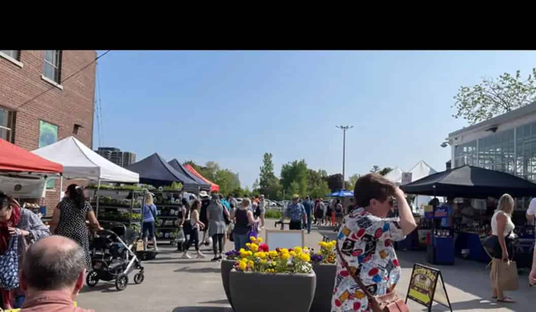 Lakeview Farmers' Market