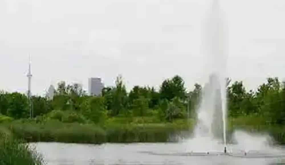 Woodbine Park