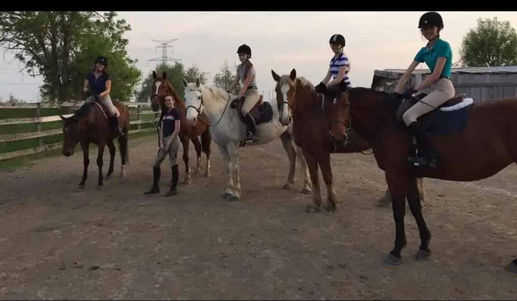 Meadowlarke Stables