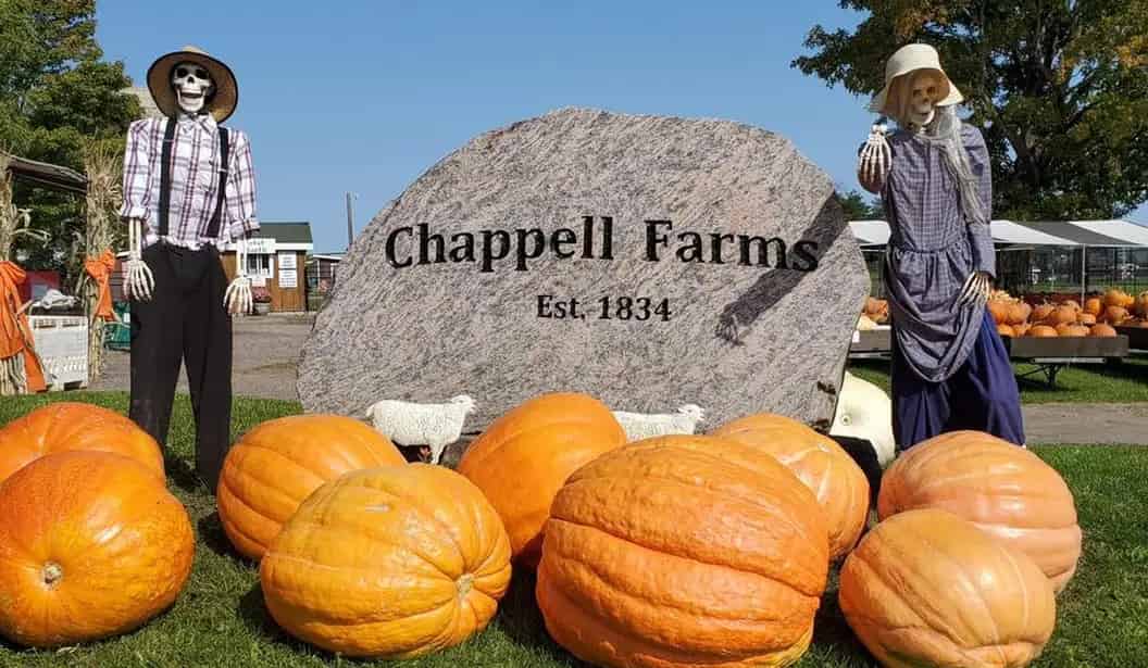Chappell Farms