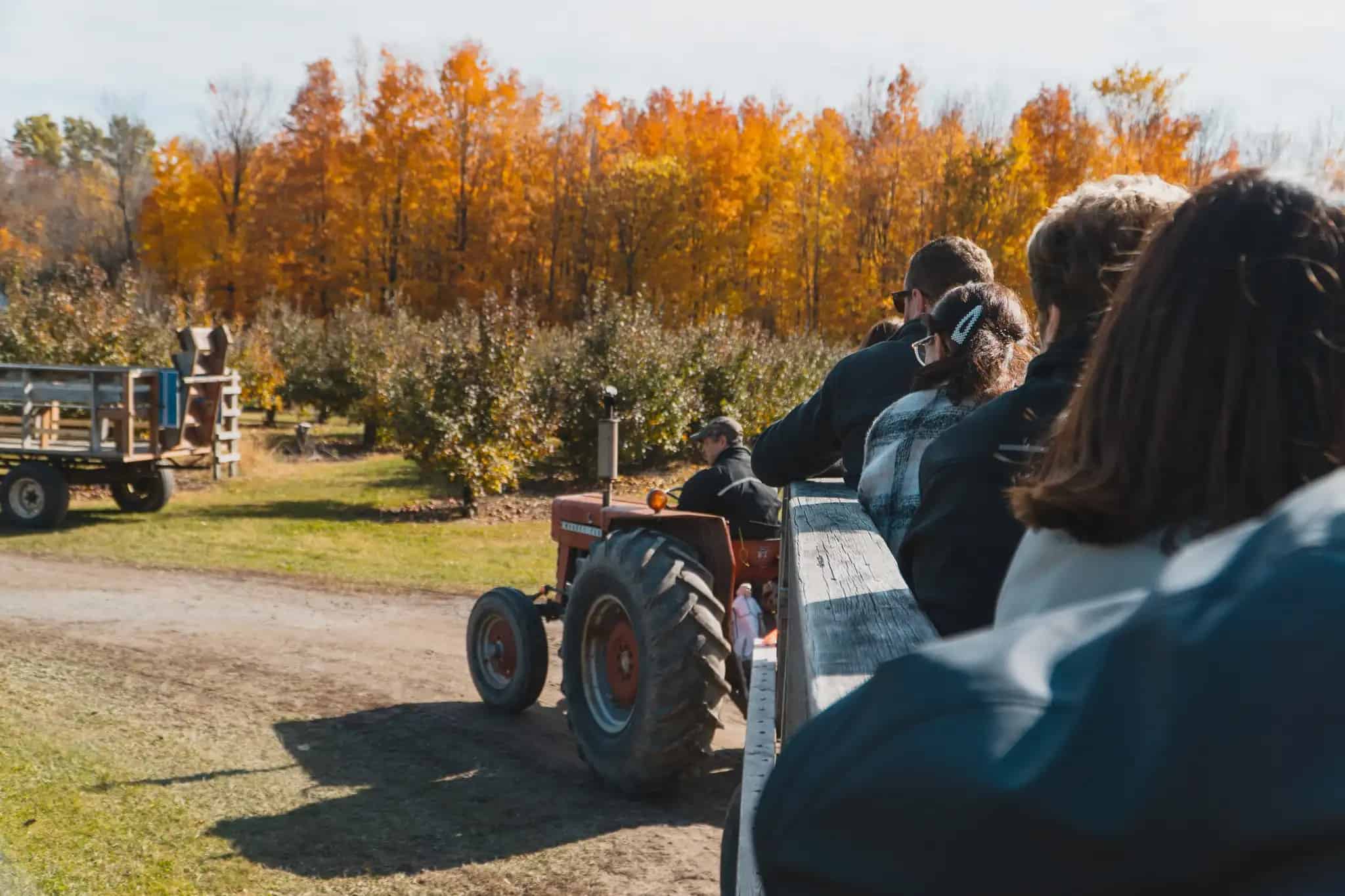 Cannamore Orchard