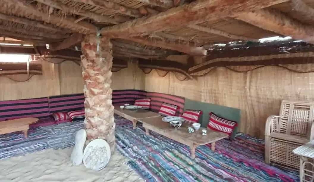 كامب قصور العرب