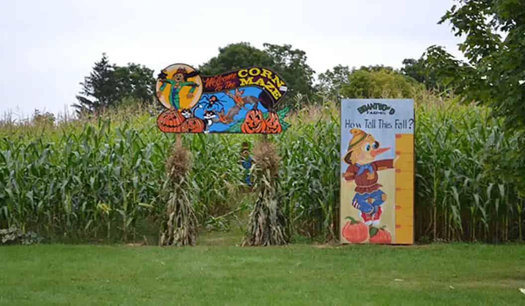 Brantwood Farms