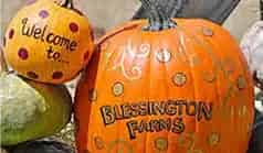 Blessington Farms
