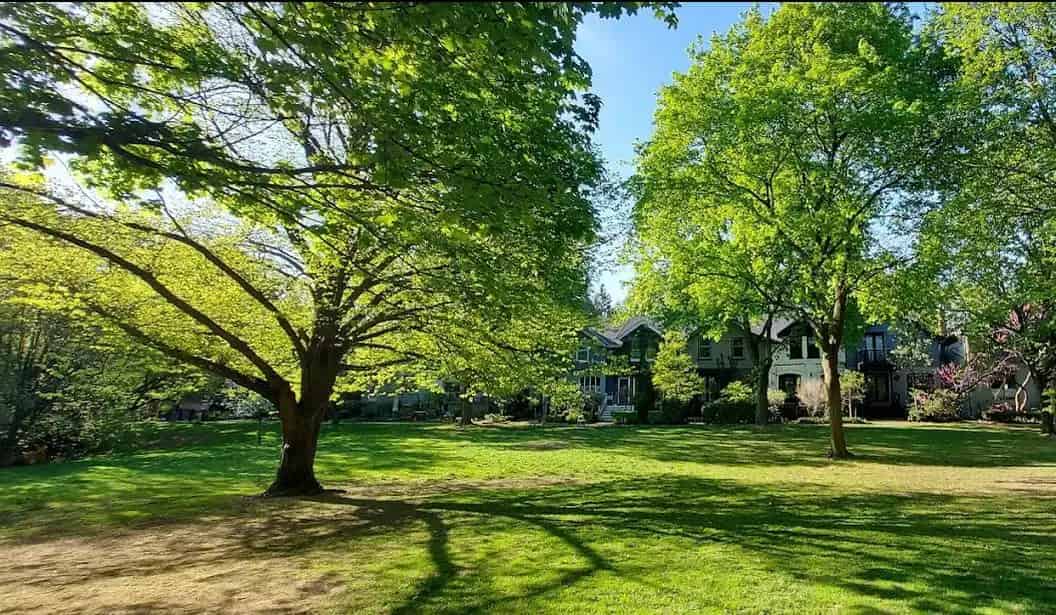 Wellesley Park