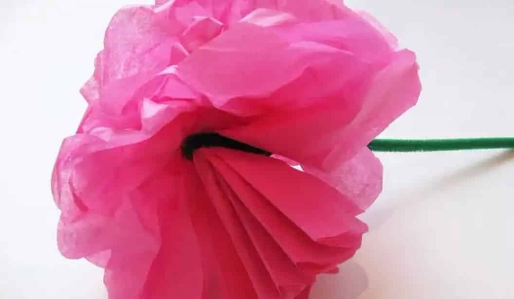 Tissue Paper Flowers