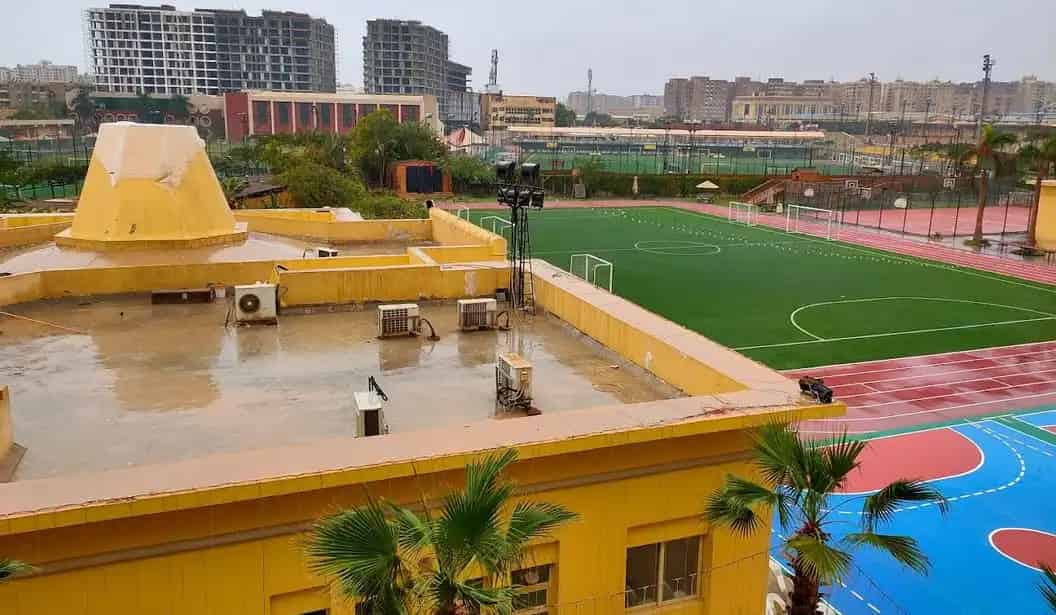 MBIS Egypt