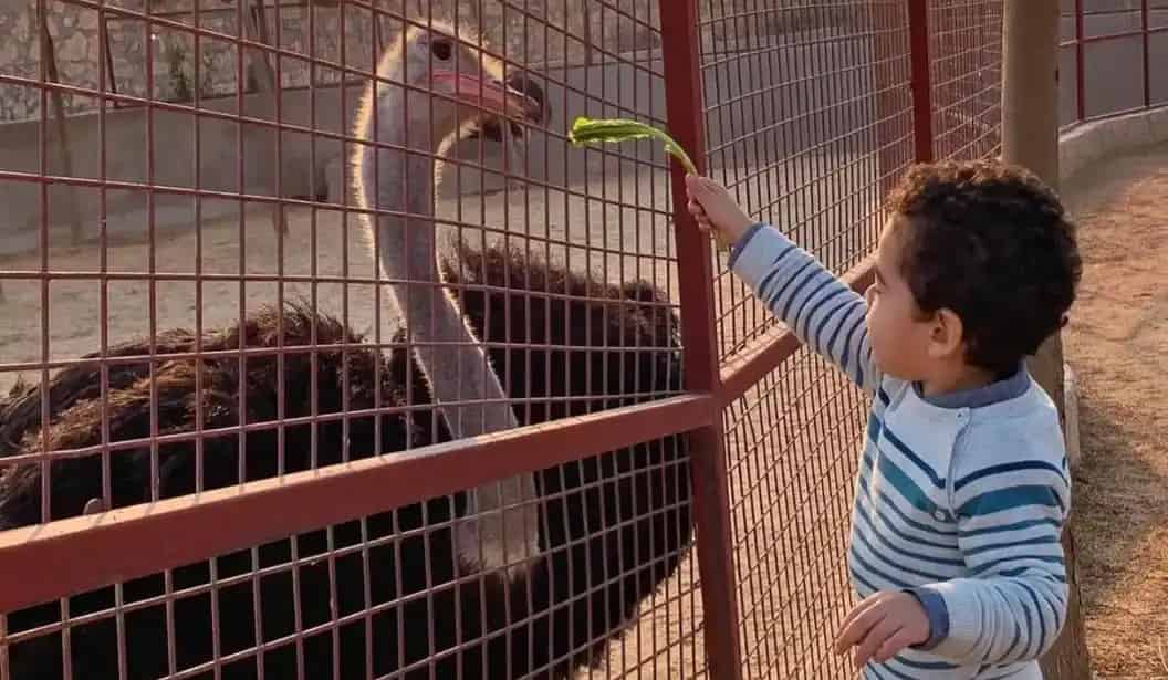 Monzoo