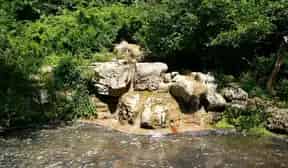 Glen Stewart Park