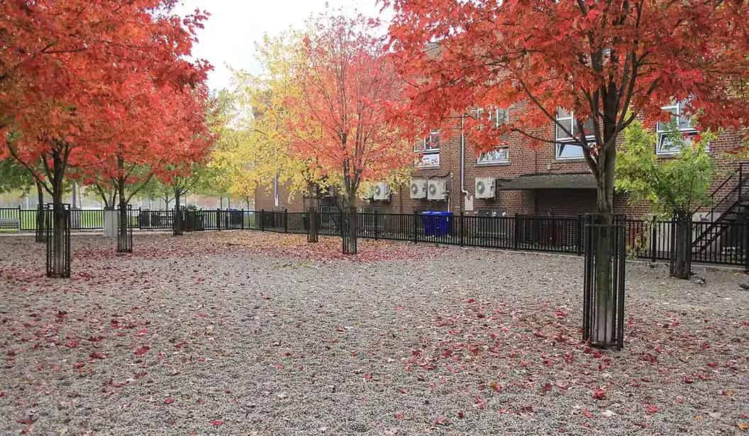 Regent Park Splash Pad