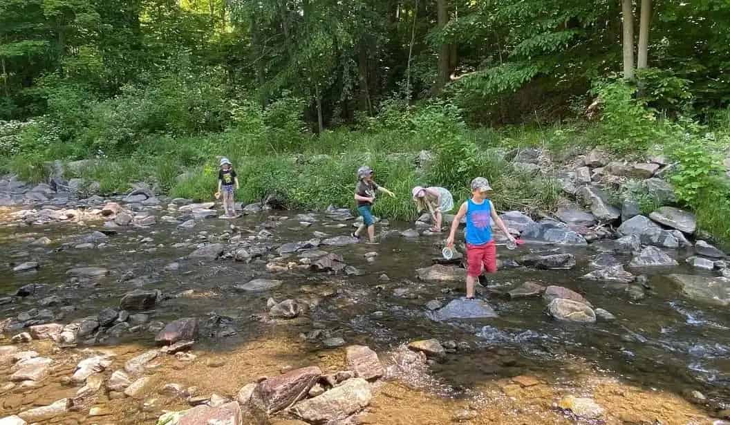 Explore Nature Camp Programs