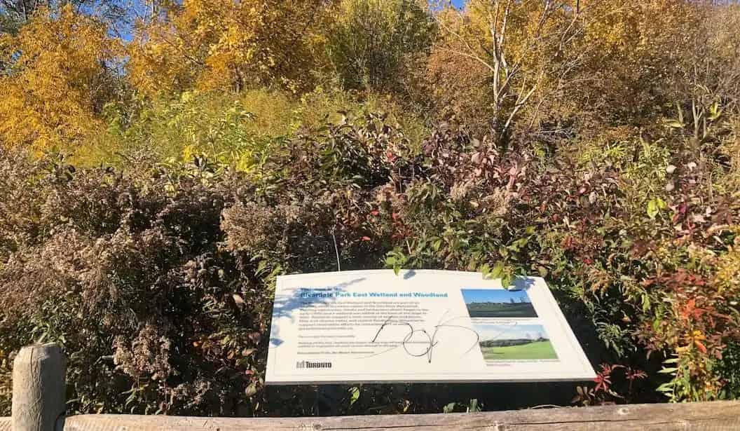 Riverdale Park East