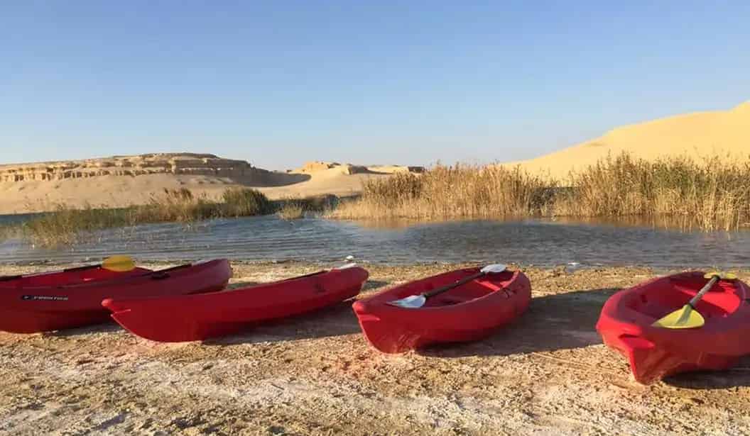زوارة إيكولودج