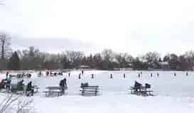 Mill Pond Park