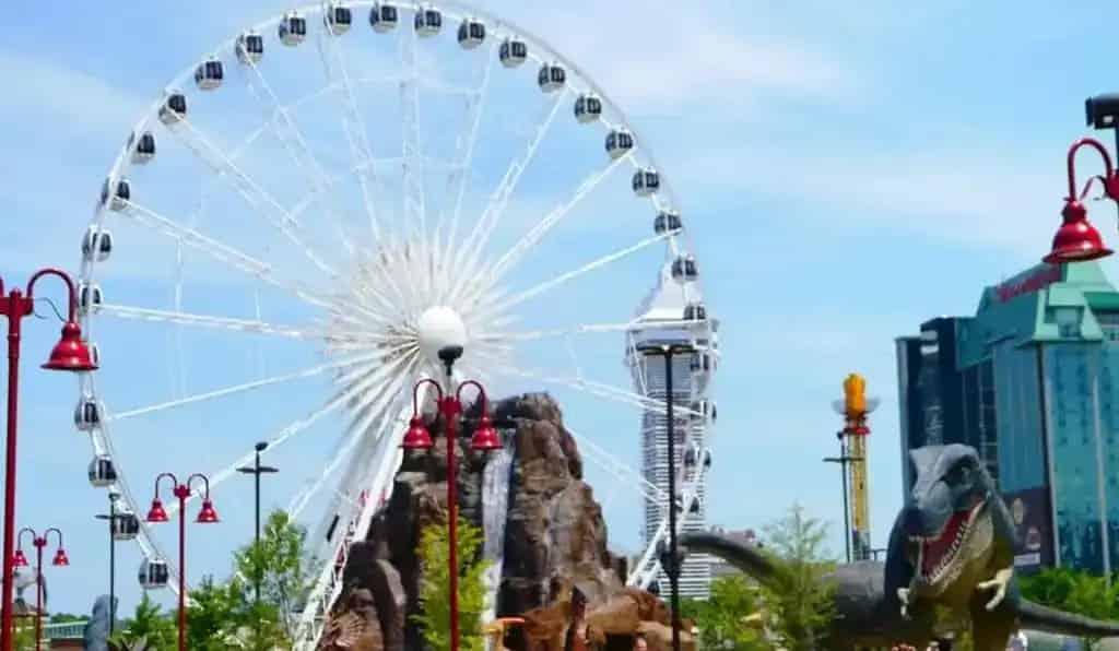 Safari Niagara
