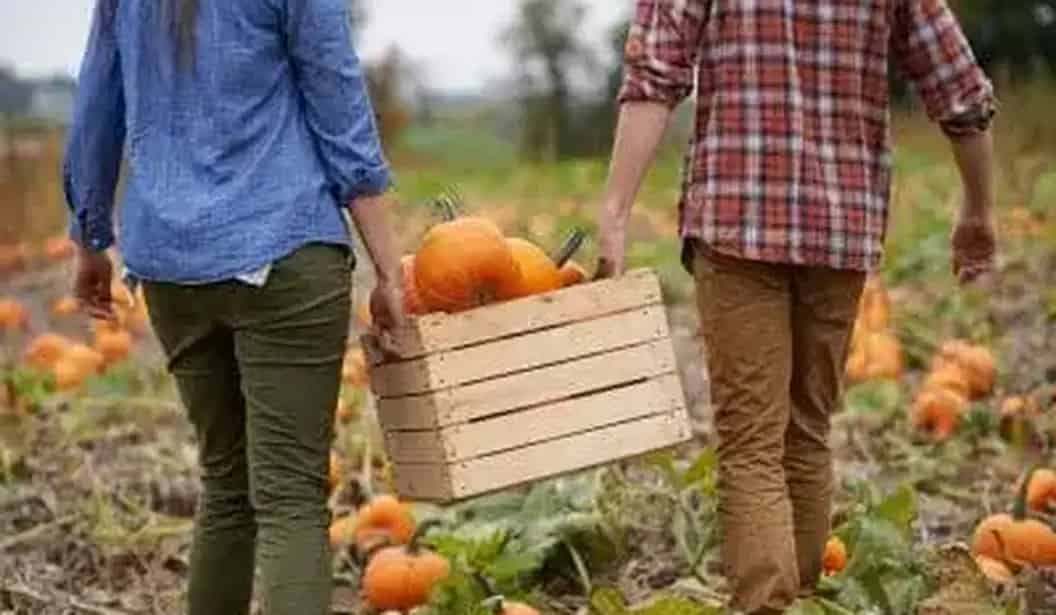 Forsythe Family Farms