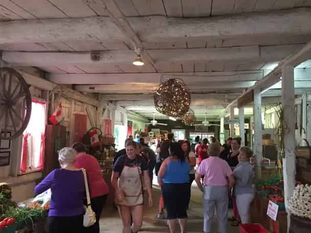 Avonmore Berry Farm