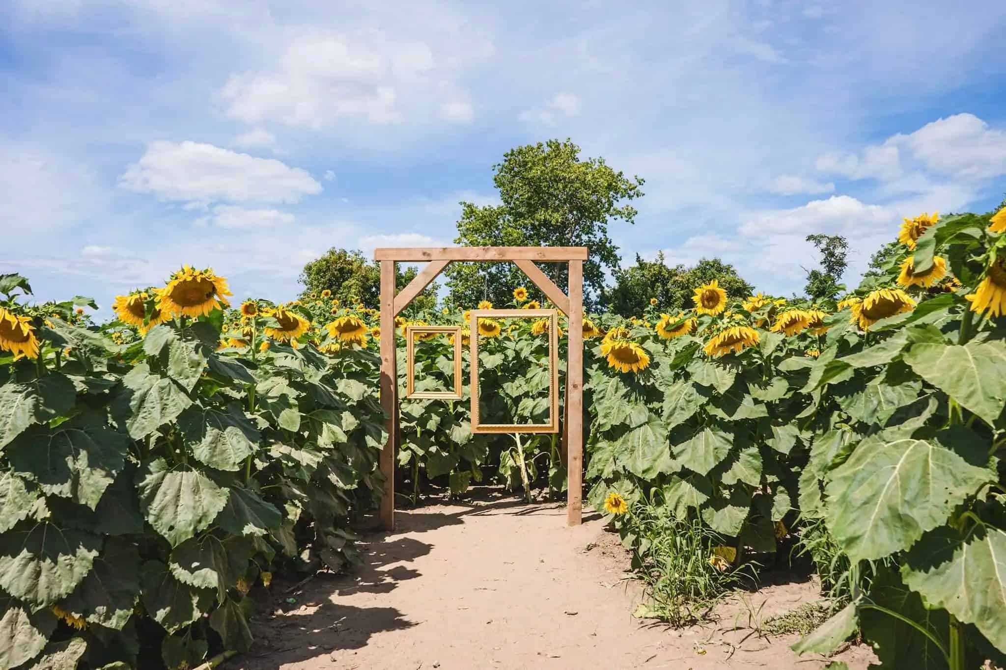 Pingle's Farm Market