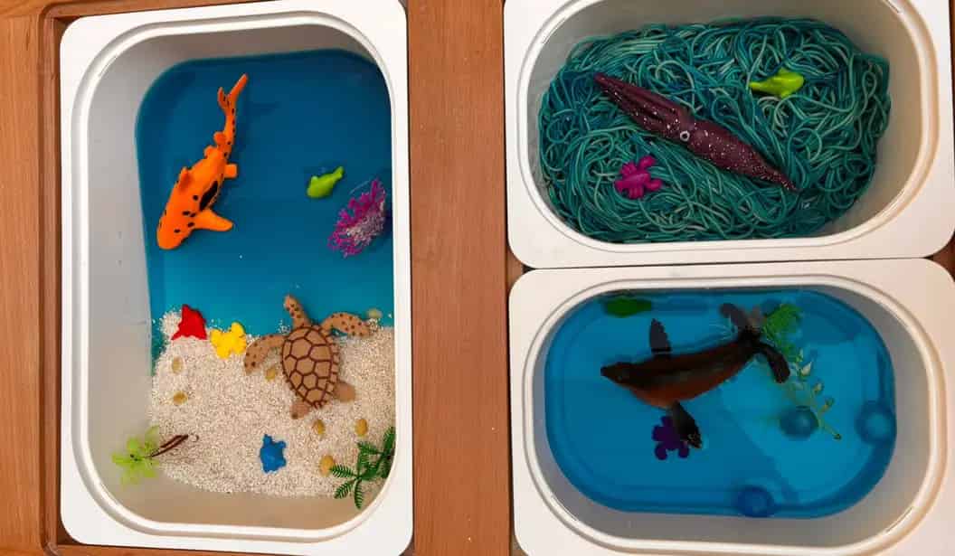 Whimsy Play World