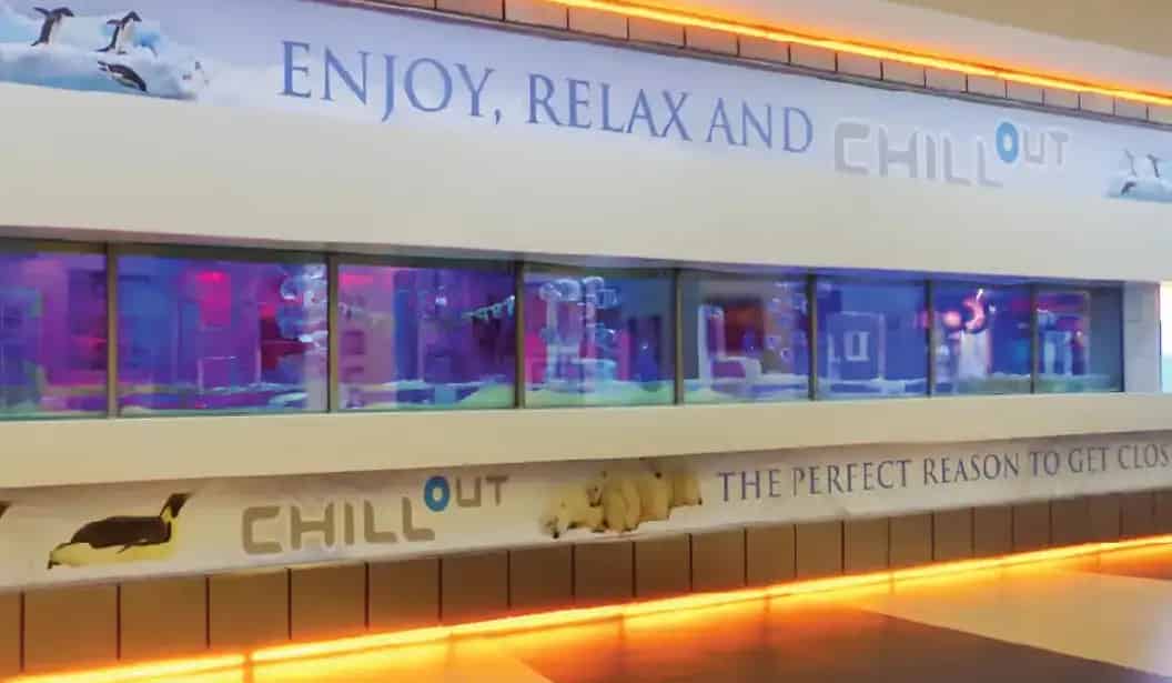 Chillout Ice Lounge