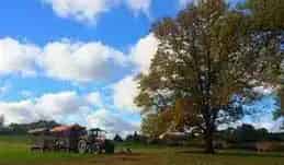 Brantwood Farms