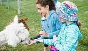 Earthbound Kids - Outdoor Adventure & Camp Experiences