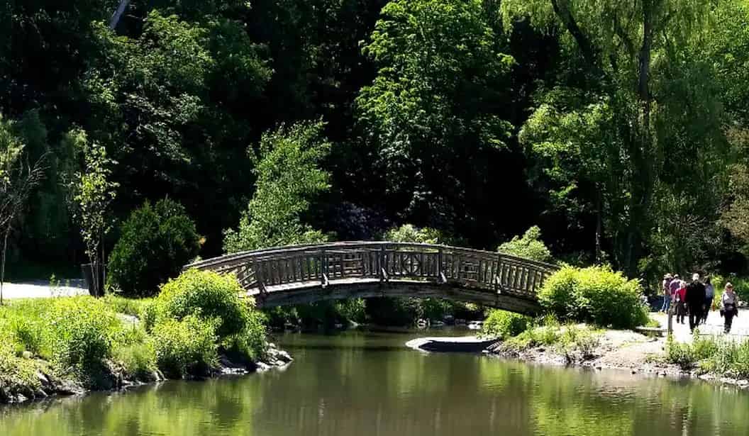 Edwards Gardens Tour