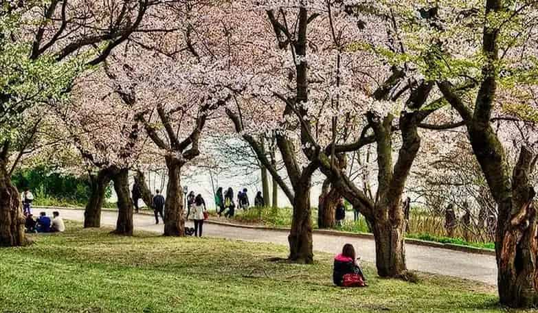 High Park, Toronto