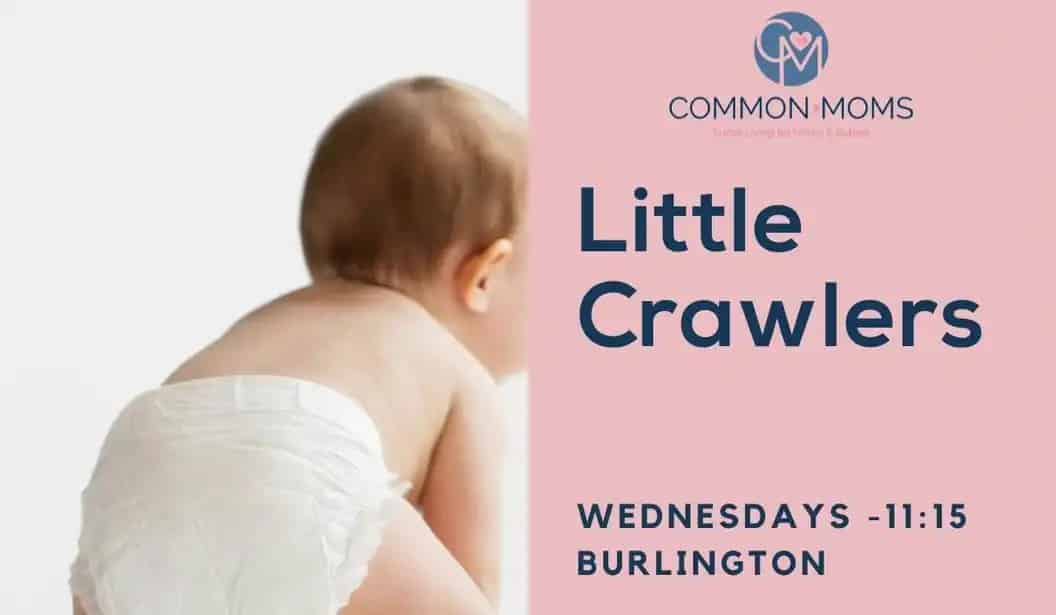 The Common Moms Hamilton