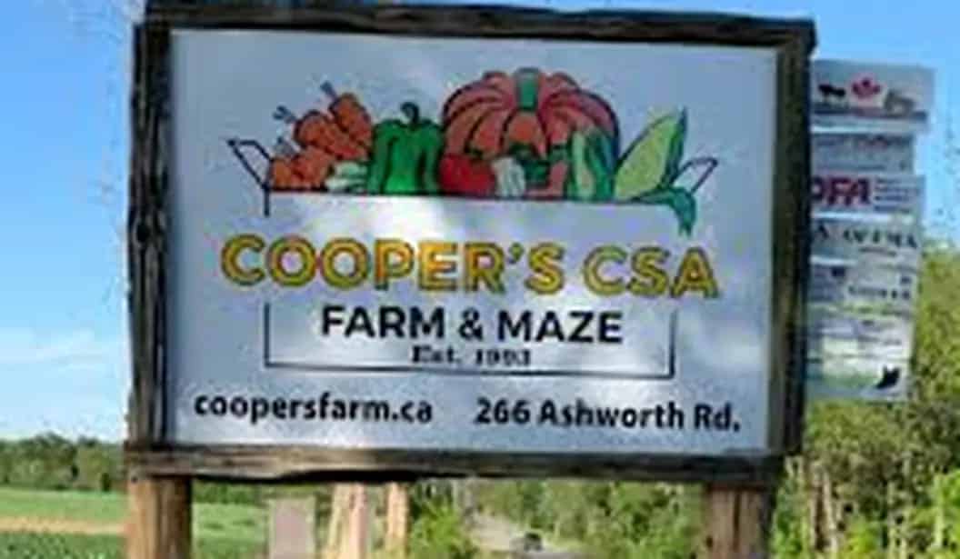 Cooper’s CSA Farm & Maze
