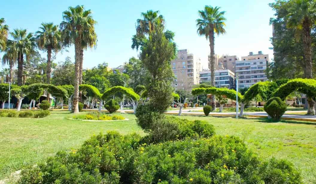Child's Park | حديقة الطفل