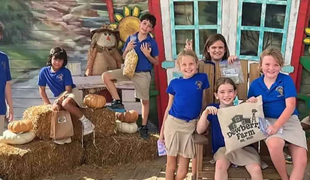 Dewberry Farm