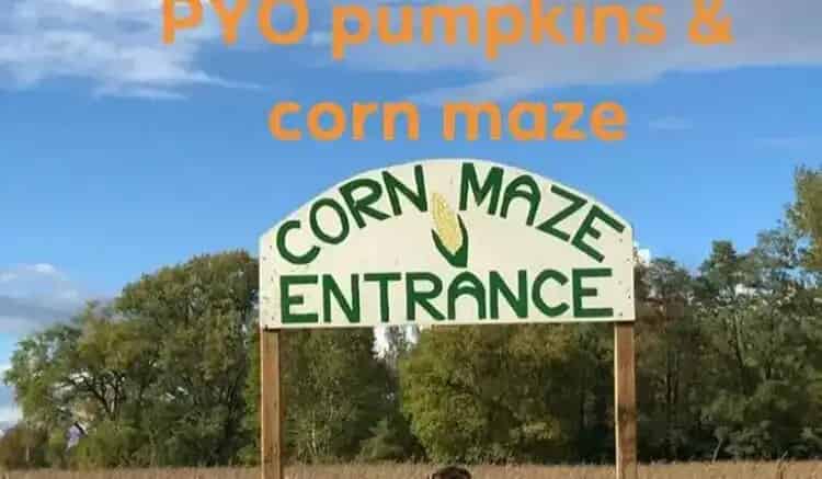 Reesor's Farm Market