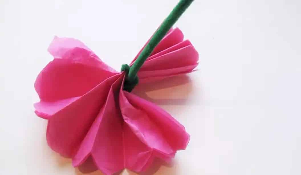 Tissue Paper Flowers